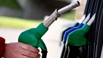 Dieselpriset sjunker med några ören under dagens rapportering. Foto: Pontus Lundahl/TT