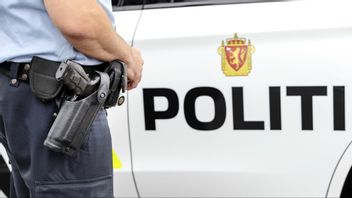 Norsk polis har gripit två svenska män. Arkivbild. Foto: GORM KALLESTAD/NTB