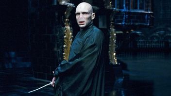 Voldemort i Harry Potter-filmerna. Foto: Faksimil/IMDb. Foto: Faksimil/IMDB.