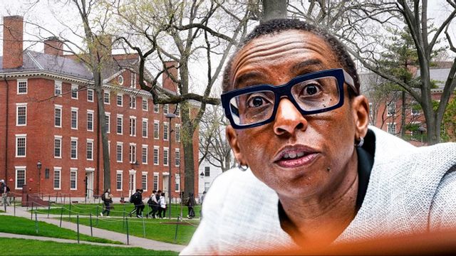 Claudine Gay lämnar uppdraget som rektor för Harvard. Bilden är ett montage. Foto: Charles Krupa/Mark Schiefelbein/AP