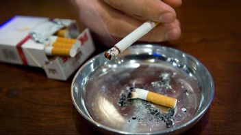 Genrebild. Foto: Claudio Bresciani / TT