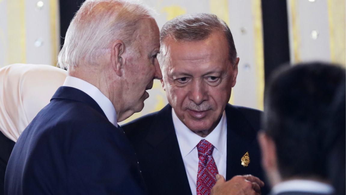 Biden och Erdoğan i samtal. Foto: Made Nagi/AP/TT