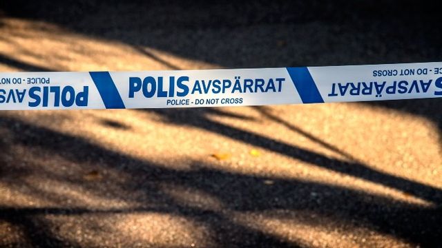 Arkivbild. Foto: Anders Wiklund/TT