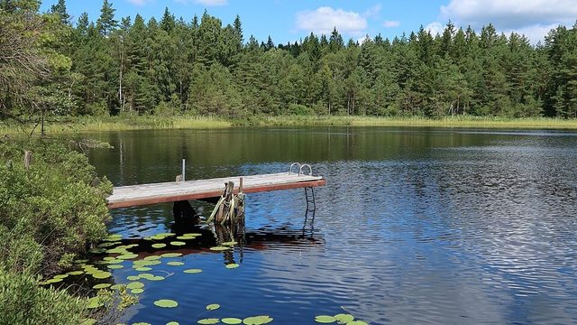 Härryda får toppbetyg för kommunens ekonomi och höga betyg för arbetsliv och vård och omsorg. Foto: R. Henrik Nilsson/CC BY 4.0