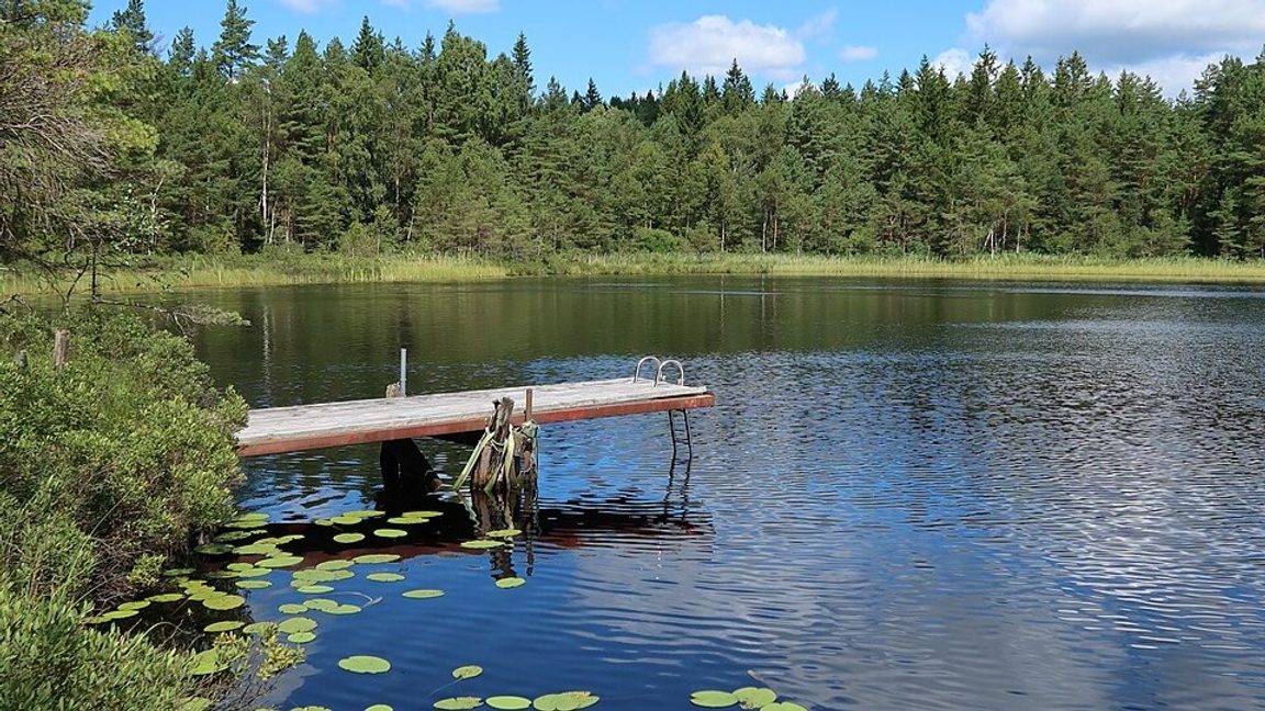 Härryda får toppbetyg för kommunens ekonomi och höga betyg för arbetsliv och vård och omsorg. Foto: R. Henrik Nilsson/CC BY 4.0