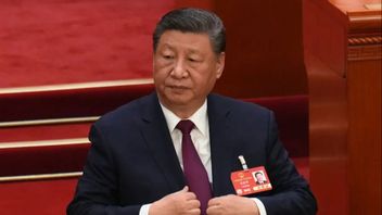 Kinas nya ekonomiska plan ska stimulera inhemsk konsumtion efter en period av avmattning i världens näst största ekonomi. Foto: TT