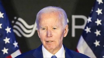 USA:s förre president Joe Biden har diagnosticerats med långt gången prostatacancer. Foto: AP