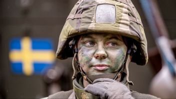 Isabelle Behr, stabsgruppchef, under en militärövning kring Vaggeryd. Foto: Adam Ihse / TT