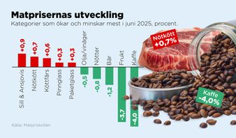 Kategorierna som ökar och minskar mest i juni 2025 i procent jämfört med maj. Jämförelsen är på ordinariepriserna den sista i varje månad. Foto: Anders Humlebo/TT