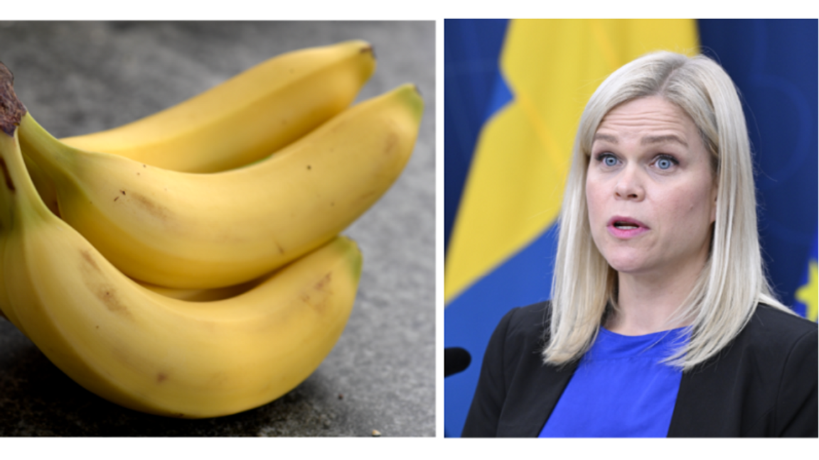 Bananer kan framkalla stark ångest hos personer som lider av bananfobi, bland annat jämställdshetsminister Paulina Brandberg (L). Foto: Janerik Henriksson/Jessica Gow/TT 