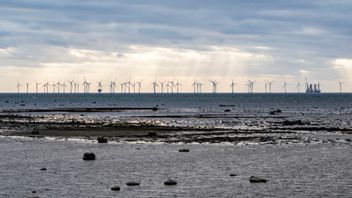Det blåser snålt kring vindkraften. Foto: Johan Nilsson / TT