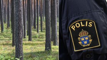 En privatperson hittade den avlidne i Bro och kontaktade polis. Foto: Fredrik Sandberg/TT/Johan Nilsson//TT