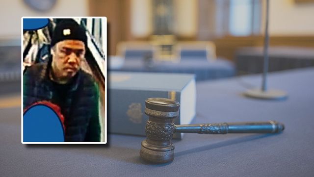Morteza Mirzayi, 27, döms för styckmordet. Foto: Polisen/Johan Nilsson/TT