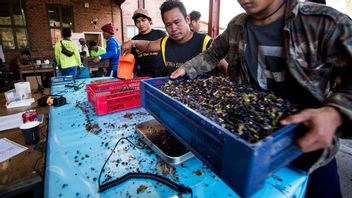 Foto: Fredrik Karlsson/TT 