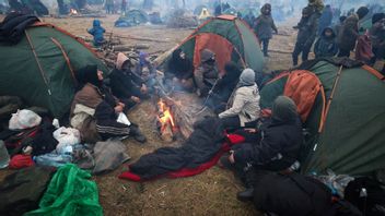 Migranter i Kuznitsa vid gränsen mellan Polen och Belarus. Foto: Maxim Guchek/ TT