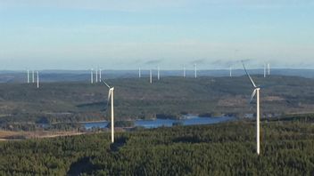 Vindkraften är en känslig fråga för regeringen och stödpartiet SD. På bilden vindkraftparken i Sidensjö utanför Härnösand. Foto: Jonas Hållén