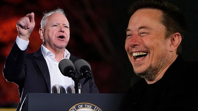Tim Walz menade inte att kalla Elon Musk ”gay”, säger hans Harris kampanjstab. Foto: Paul Sancya/Kirsty Wigglesworth/AP/TT