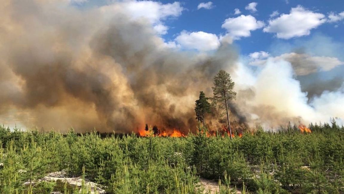 Skogsbrand Bonäs/Våmhus. Foto: Brandkåren Norra Dalarna