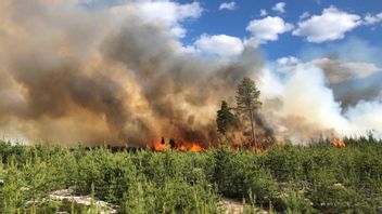 Skogsbrand Bonäs/Våmhus. Foto: Brandkåren Norra Dalarna