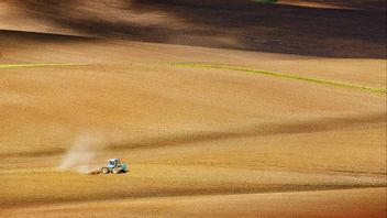 En T-150K-traktor på fälten vid Kasova Hora i Ivano-Frankivsk-regionen i västra Ukraina 2018. Foto: Vitalii Bashkatov / Wikimedia commons