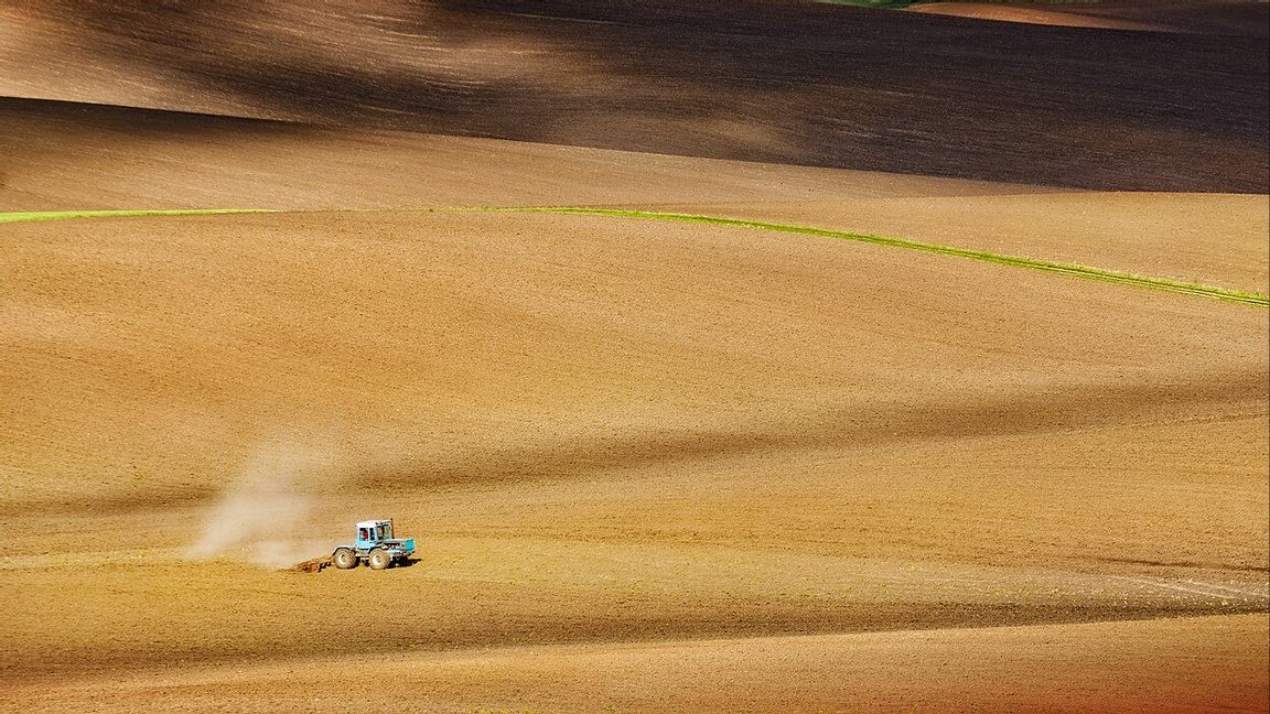 En T-150K-traktor på fälten vid Kasova Hora i Ivano-Frankivsk-regionen i västra Ukraina 2018. Foto: Vitalii Bashkatov / Wikimedia commons