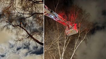 Bild: Räddningstjänsten Storgöteborg