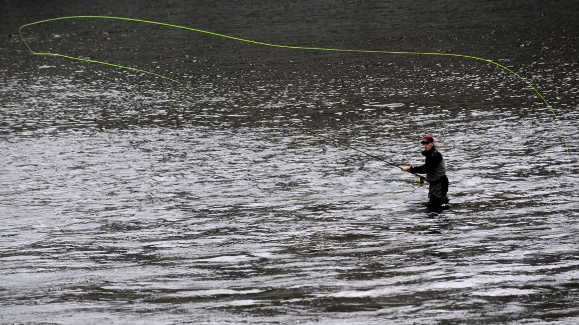 Det blir inget laxfiske i södra Norge efter midsommardagen. Arkivbild. Foto: LEIF R JANSSON/TT