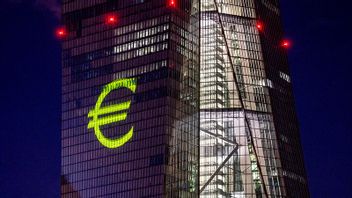 Inflationen stiger i eurozonen. Foto: Michael Probst/AP/TT