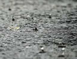 Dagen har börjat med regn på flera håll i landet. Senare under dagen väntas minusgrader. Arkivbild. Foto: Lise Åserud /NTB Scanpix / TT