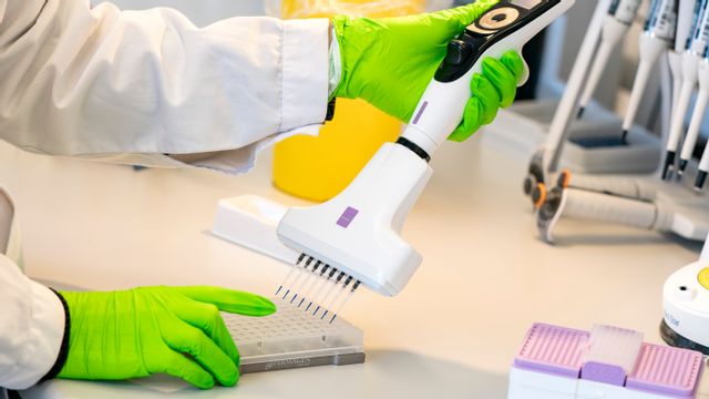 De allra flesta mutationer är till virusets nackdel och försvinner. FOTO: Johan Nilsson/TT.