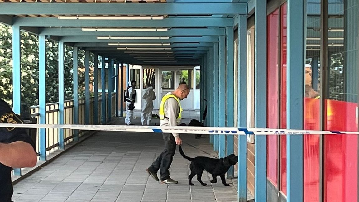 Polisens tekniker undersöker brottsplatsen i Hagalund där en man sköts till döds och en skadades. Foto: Isabelle Eriksson