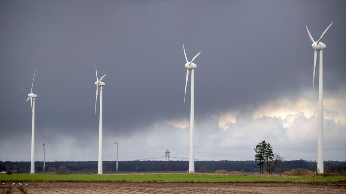Vindkraft är dyrt och instabilt, trots det backar inte det offentliga. Foto: Johan Nilsson / TT