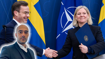 Vem ska man rösta på? Foto: Lars Schröder/TT