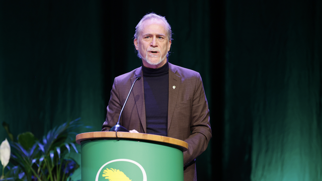 Daniel Helldén har valts till nytt språkrör. Foto: Christine Olsson/TT