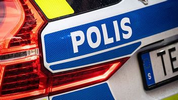 Bild: Johan Nilsson / TT