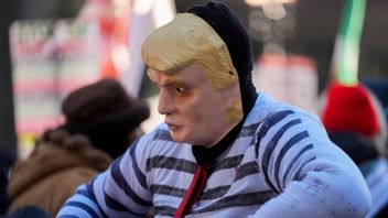 Bild på en anti-Trump-demonstrant i Chicago den 20 januari 2025, dagen då Donald Trump svordes in som USA:s nya president. Foto: Erin Hooley/AP/TT