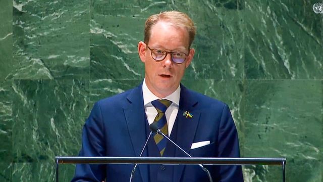 Utrikesminister Tobias Billström i FN:s generalförsamling. Foto: FN