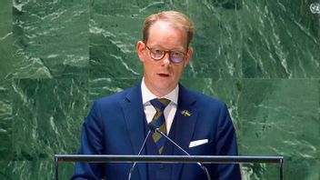 Utrikesminister Tobias Billström i FN:s generalförsamling. Foto: FN
