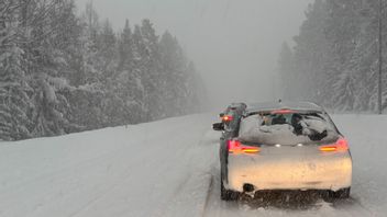 Snö, snö och ännu mer snö väntas. Foto: Johan Jeppsson/TT