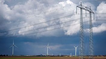 Bild: Johan Nilsson / TT