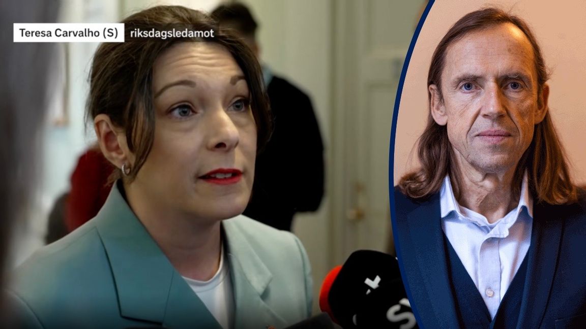 Socialdemokraterna kommer att rösta för en sänkning av straffbarhetsåldern till 14 år, enligt  Teresa Carvalho, partiet kriminalpolitiska talesperson. Foto: Skärmavbild från SVT.