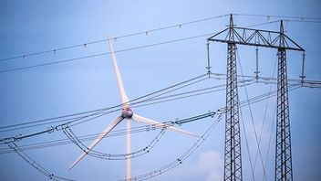 Bild: Johan Nilsson / TT