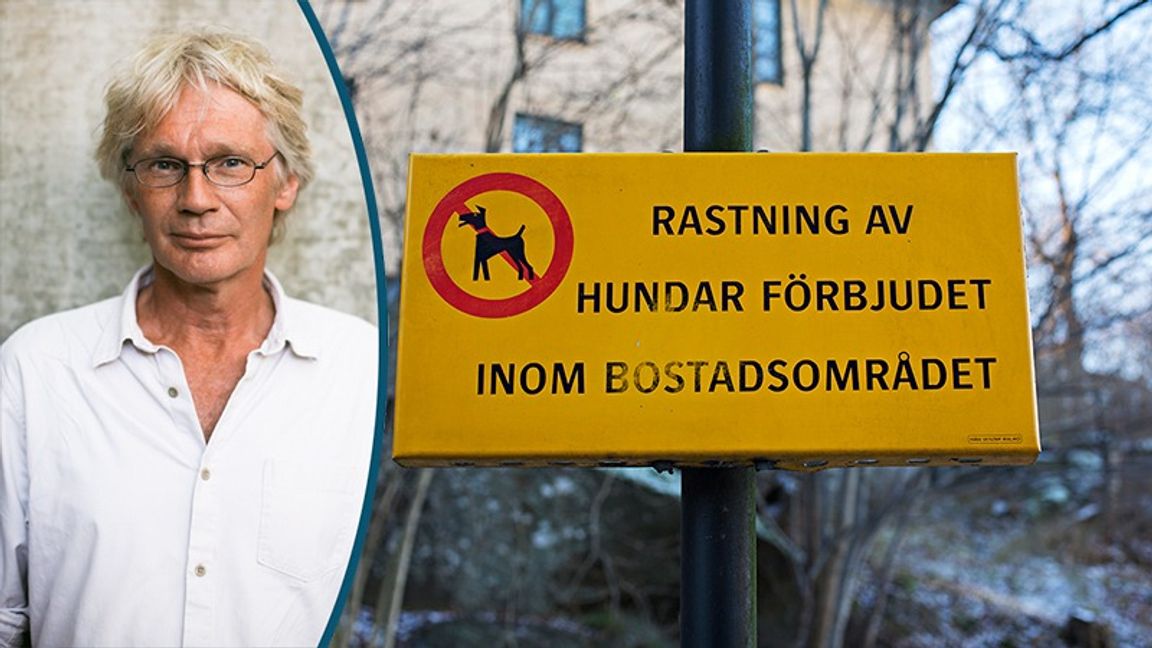 Regler – betraktas numer bara som rekommendationer? Foto: Lars Strandberg / Martina Holmberg/TT