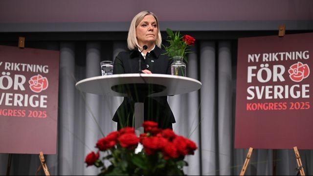 S-ledaren Magdalena Andersson. Foto: Björn Larsson Rosvall/TT