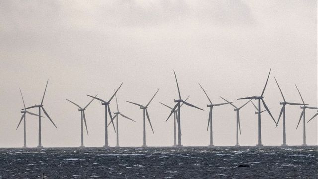 En havsbaserad vindkraftspark Foto: Johan Nilsson/TT