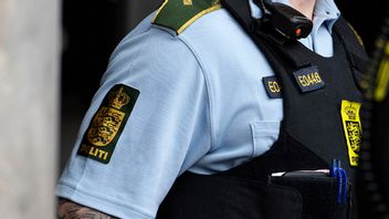 Dansk polis. Genrebild. Foto: Johan Nilsson/TT