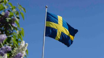 Beslutsfattarnas högsta prioritet måste vara att få ordning och reda i landet. Foto: Martina Holmberg/TT.