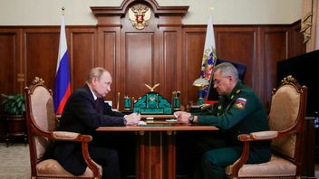 Den ryske presidenten Vladimir Putin med försvarsministern Sergej Sjojgu. Foto: Mikhail Klimentyev/AP/TT 