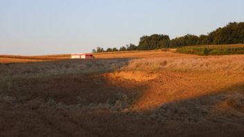 Foto: Skärmdump/X