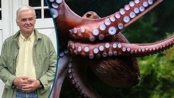 Har socialdemokratins tentakler nåt alla delar av samhällsbygget? Foto: damn_unique (CC BY-SA 2.0)